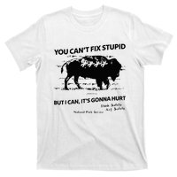 You Can’T Fix Stupid But I Can ItS Gonna Hurt T-Shirt