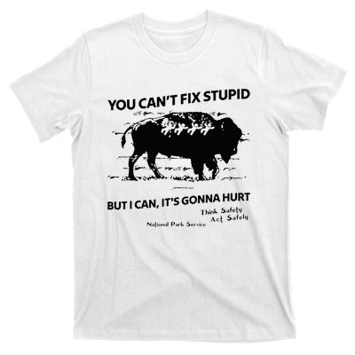 You Can’T Fix Stupid But I Can ItS Gonna Hurt T-Shirt