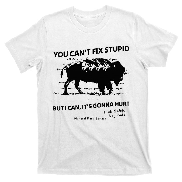 You Can’T Fix Stupid But I Can ItS Gonna Hurt T-Shirt