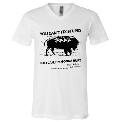 You Can’T Fix Stupid But I Can ItS Gonna Hurt V-Neck T-Shirt