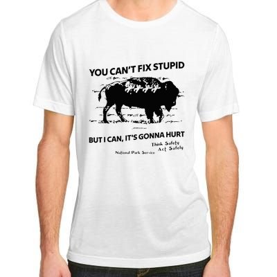 You Can’T Fix Stupid But I Can ItS Gonna Hurt Adult ChromaSoft Performance T-Shirt