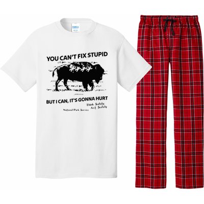 You Can’T Fix Stupid But I Can ItS Gonna Hurt Pajama Set