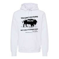 You Can’T Fix Stupid But I Can ItS Gonna Hurt Premium Hoodie