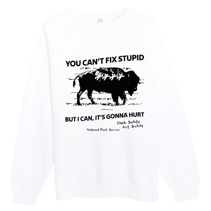 You Can’T Fix Stupid But I Can ItS Gonna Hurt Premium Crewneck Sweatshirt