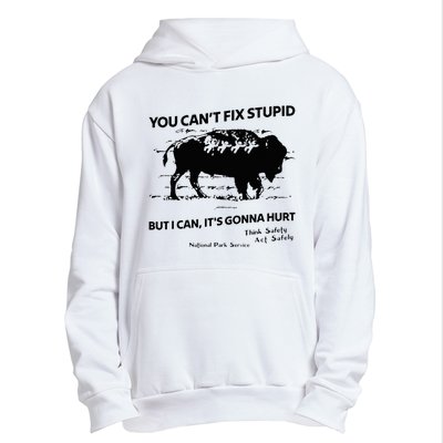 You Can’T Fix Stupid But I Can ItS Gonna Hurt Urban Pullover Hoodie