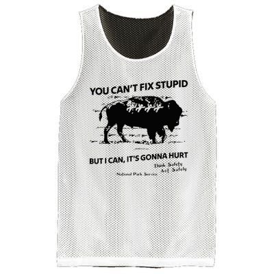 You Can’T Fix Stupid But I Can ItS Gonna Hurt Mesh Reversible Basketball Jersey Tank