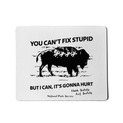 You Can’T Fix Stupid But I Can ItS Gonna Hurt Mousepad