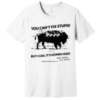 You Can’T Fix Stupid But I Can ItS Gonna Hurt Premium T-Shirt