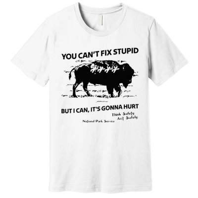 You Can’T Fix Stupid But I Can ItS Gonna Hurt Premium T-Shirt