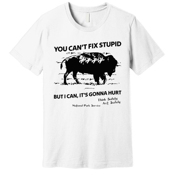 You Can’T Fix Stupid But I Can ItS Gonna Hurt Premium T-Shirt