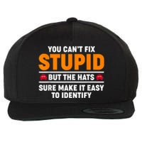 You CanT Fix Stupid But The Hats Sure Make It Easy Identify Wool Snapback Cap