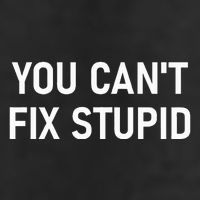 You CanT Fix Stupid Funny Sarcastic Jokes Family Adult Drive Performance Visor