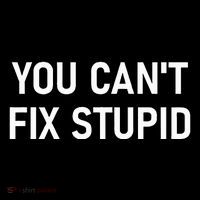 You CanT Fix Stupid Funny Sarcastic Jokes Family Baby Bodysuit