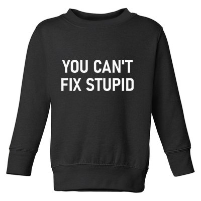 You CanT Fix Stupid Funny Sarcastic Jokes Family Toddler Sweatshirt