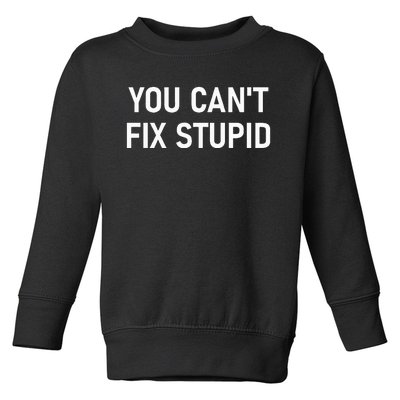 You CanT Fix Stupid Funny Sarcastic Jokes Family Toddler Sweatshirt