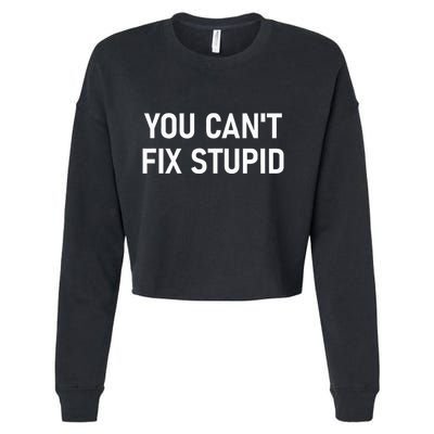 You CanT Fix Stupid Funny Sarcastic Jokes Family Cropped Pullover Crew