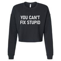 You CanT Fix Stupid Funny Sarcastic Jokes Family Cropped Pullover Crew