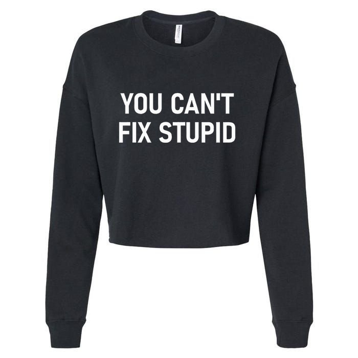 You CanT Fix Stupid Funny Sarcastic Jokes Family Cropped Pullover Crew