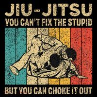 You Can't Fix The Stupid Fun Vintage Jiu Jitsu T-Shirt