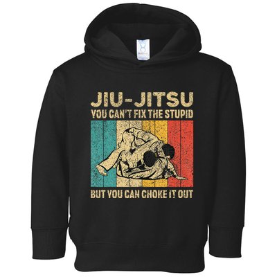 You Can't Fix The Stupid Fun Vintage Jiu Jitsu Toddler Hoodie
