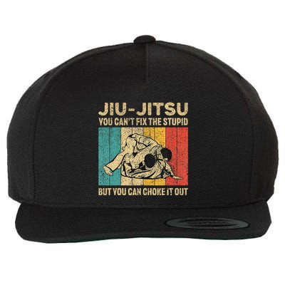 You Can't Fix The Stupid Fun Vintage Jiu Jitsu Wool Snapback Cap