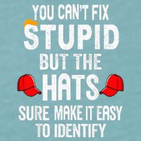 You CanT Fix Stupid But The Hats Sure Make It Easy Sueded Cloud Jersey T-Shirt