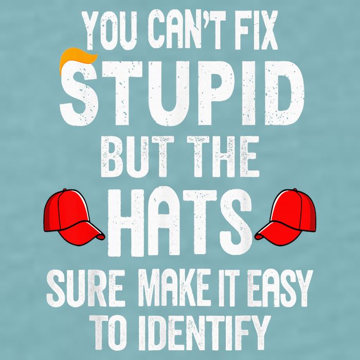 You CanT Fix Stupid But The Hats Sure Make It Easy Sueded Cloud Jersey T-Shirt
