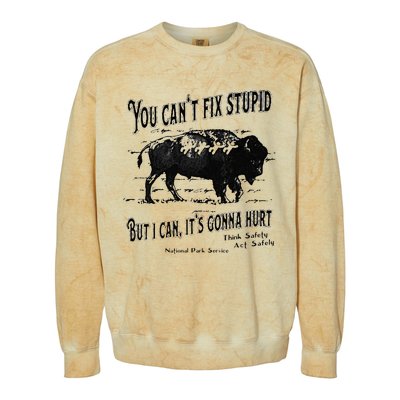 You Can’t Fix Stupid But I Can Its Gonna Hurt Colorblast Crewneck Sweatshirt