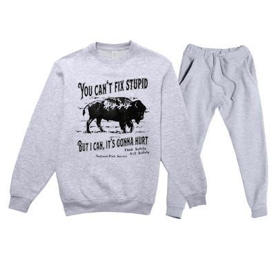 You Can’t Fix Stupid But I Can Its Gonna Hurt Premium Crewneck Sweatsuit Set