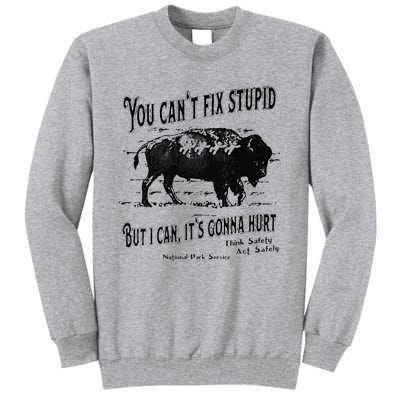 You Can’t Fix Stupid But I Can Its Gonna Hurt Tall Sweatshirt