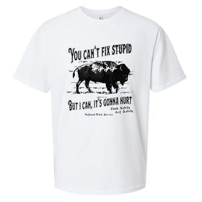 You Can’t Fix Stupid But I Can Its Gonna Hurt Sueded Cloud Jersey T-Shirt