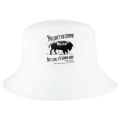 You Can’t Fix Stupid But I Can Its Gonna Hurt Cool Comfort Performance Bucket Hat