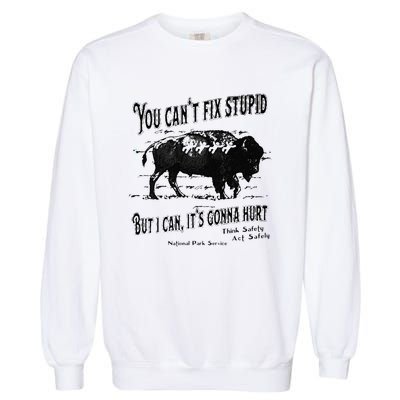 You Can’t Fix Stupid But I Can Its Gonna Hurt Garment-Dyed Sweatshirt