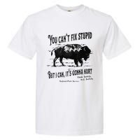 You Can’t Fix Stupid But I Can Its Gonna Hurt Garment-Dyed Heavyweight T-Shirt