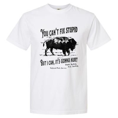 You Can’t Fix Stupid But I Can Its Gonna Hurt Garment-Dyed Heavyweight T-Shirt