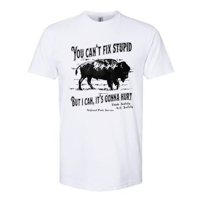 You Can’t Fix Stupid But I Can Its Gonna Hurt Softstyle CVC T-Shirt