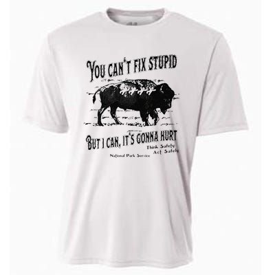 You Can’t Fix Stupid But I Can Its Gonna Hurt Cooling Performance Crew T-Shirt