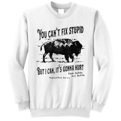 You Can’t Fix Stupid But I Can Its Gonna Hurt Sweatshirt