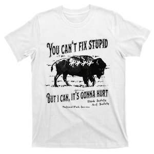 You Can’t Fix Stupid But I Can Its Gonna Hurt T-Shirt