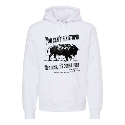 You Can’t Fix Stupid But I Can Its Gonna Hurt Premium Hoodie