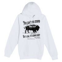 You Can’t Fix Stupid But I Can Its Gonna Hurt Premium Pullover Hoodie