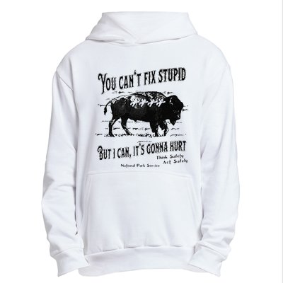 You Can’t Fix Stupid But I Can Its Gonna Hurt Urban Pullover Hoodie