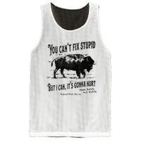 You Can’t Fix Stupid But I Can Its Gonna Hurt Mesh Reversible Basketball Jersey Tank