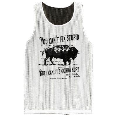 You Can’t Fix Stupid But I Can Its Gonna Hurt Mesh Reversible Basketball Jersey Tank