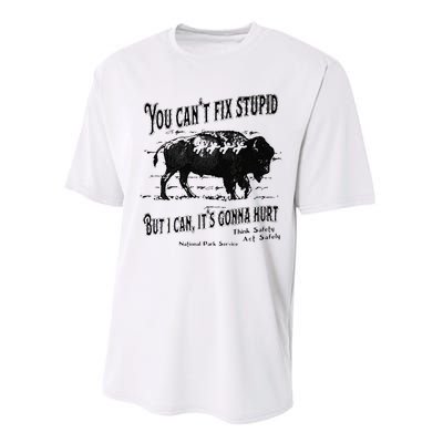 You Can’t Fix Stupid But I Can Its Gonna Hurt Performance Sprint T-Shirt