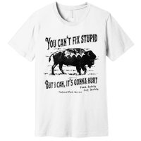 You Can’t Fix Stupid But I Can Its Gonna Hurt Premium T-Shirt