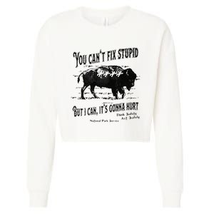 You Can’t Fix Stupid But I Can Its Gonna Hurt Cropped Pullover Crew