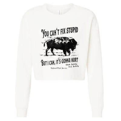 You Can’t Fix Stupid But I Can Its Gonna Hurt Cropped Pullover Crew