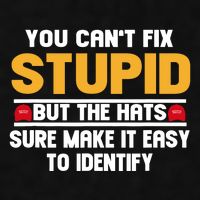 You CanT Fix Stupid But The Hats Sure Make It Easy Ladies PosiCharge Tri-Blend Wicking Tank
