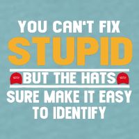 You CanT Fix Stupid But The Hats Sure Make It Easy Sueded Cloud Jersey T-Shirt